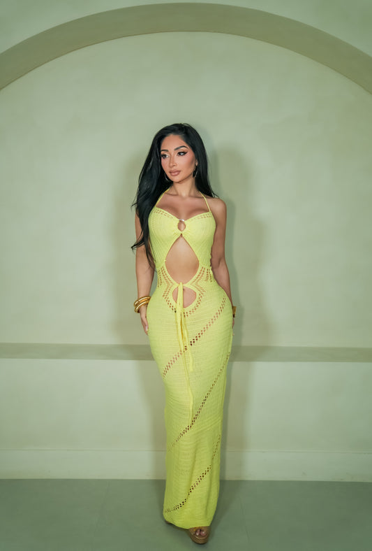 Arani Maxi Dress